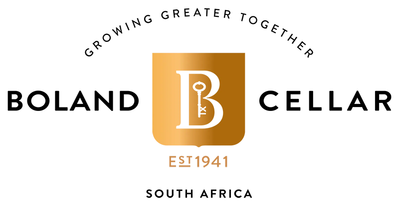 logo dark
